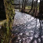 - Gaestehaus Zum Pfaelzerwald Hinterweidenthal