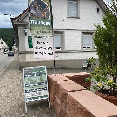 - Gaestehaus Zum Pfaelzerwald Gæstehus Hinterweidenthal