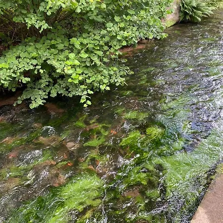 - Gaestehaus Zum Pfaelzerwald