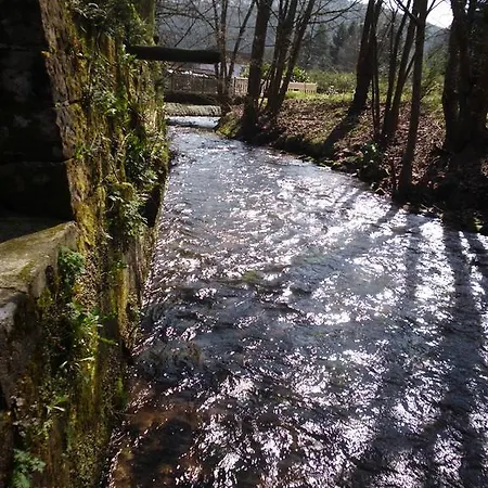 - Gaestehaus Zum Pfaelzerwald Hinterweidenthal