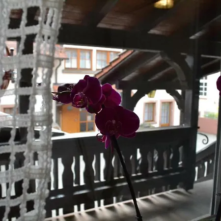 - Gastehaus Zum Pfalzerwald Hinterweidenthal