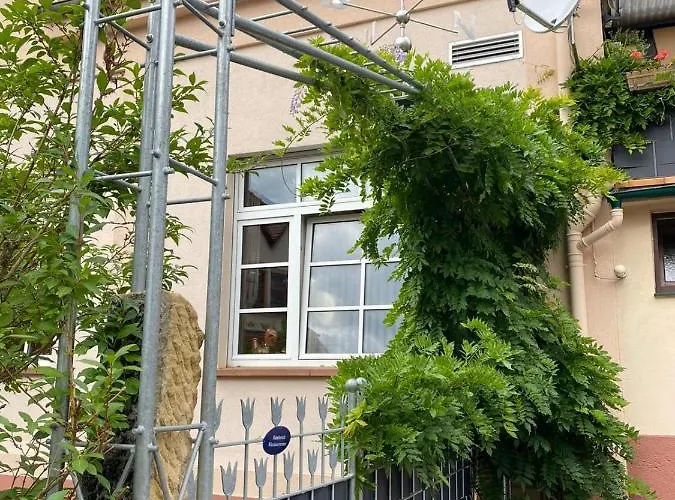 - Gaestehaus Zum Pfaelzerwald