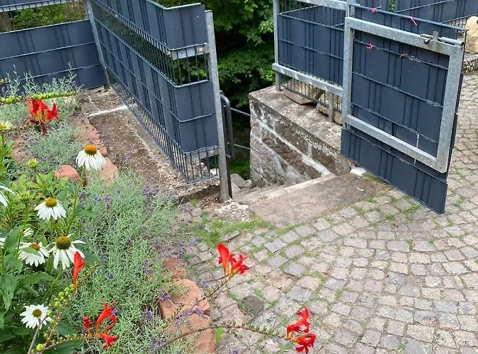 Gasthuis - Gaestehaus Zum Pfaelzerwald Hinterweidenthal