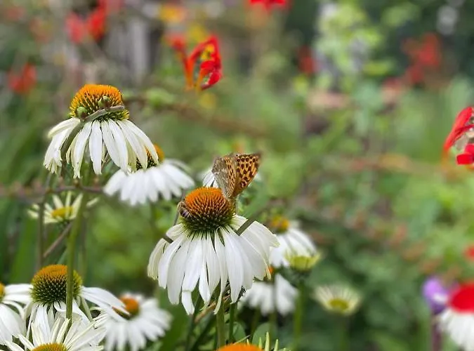 - Gaestehaus Zum Pfaelzerwald 3* Hinterweidenthal