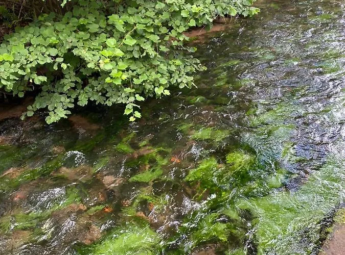 - Gaestehaus Zum Pfaelzerwald