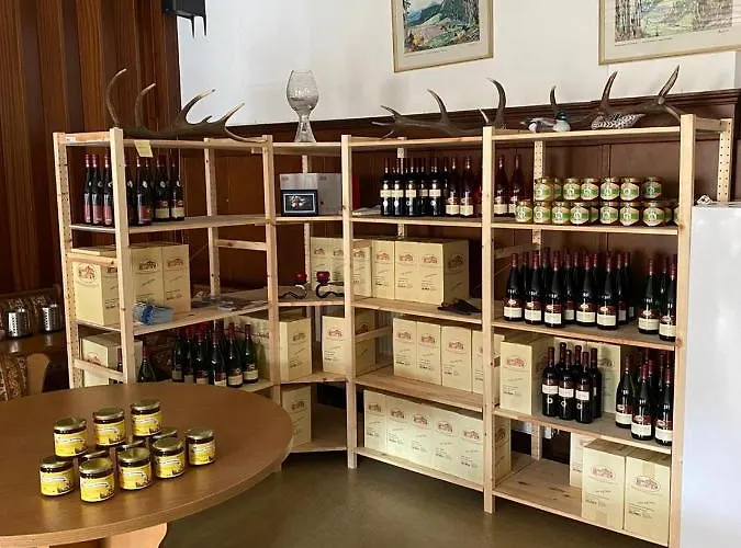 - Gaestehaus Zum Pfaelzerwald