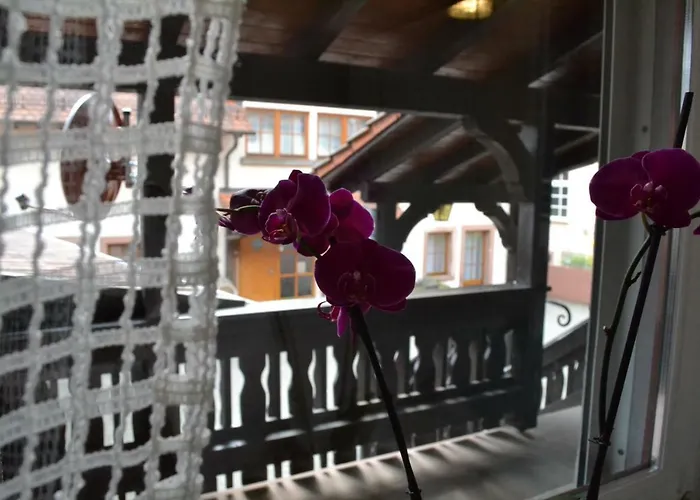 - Gaestehaus Zum Pfaelzerwald Hinterweidenthal