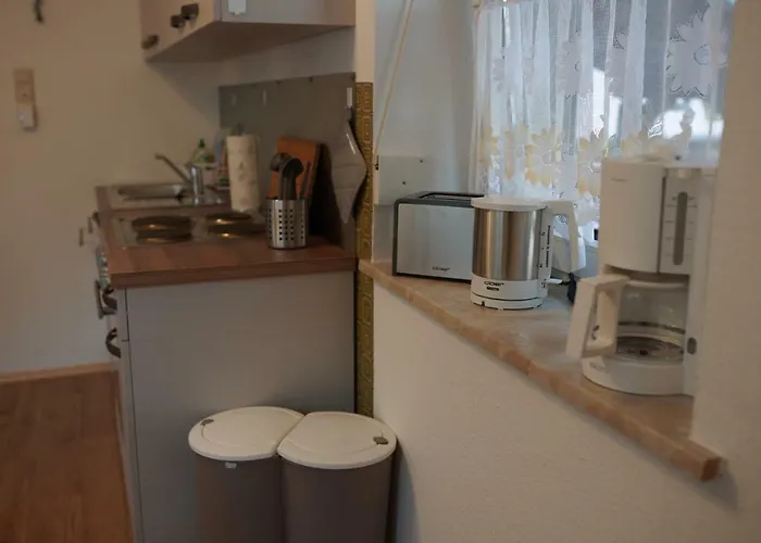 بيت ضيافة - Gaestehaus Zum Pfaelzerwald 3*